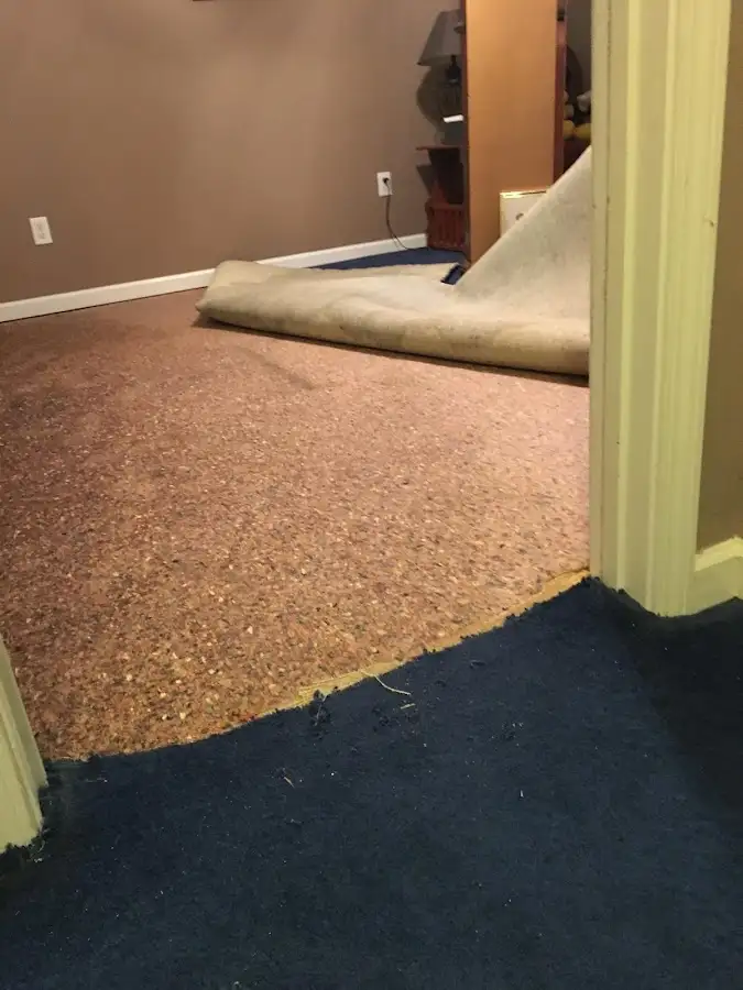 Carpet pad removal revealing water damage during Water Mitigation Services in Bridgeview