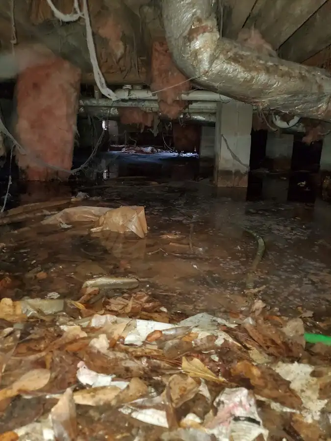 Crawl space flood assessment for Commercial Water Damage Restoration in Bridgeview