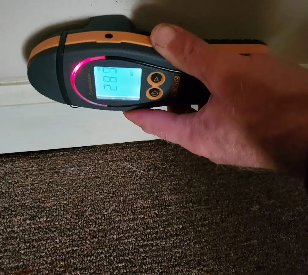 Moisture detection at baseboard during Sewage Cleanup & Sanitation in Bridgeview
